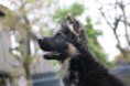 /album/fotogalerij/a125-jpg/