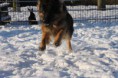 /album/sneeuwpret/a049-jpg/