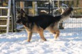 /album/sneeuwpret/a042-jpg/