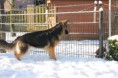 /album/sneeuwpret/a059-jpg/