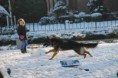 /album/sneeuwpret/a120-jpg/