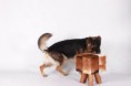 /album/fotoshoot/img-7969-jpg/
