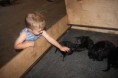 /album/pups-geboren/img-0695-jpg/