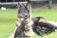/album/fotogalerij-nest-c/img-0779-jpg/