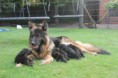/album/fotogalerij-nest-c/img-0783-jpg/