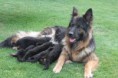 /album/fotogalerij-nest-c/img-0794-jpg/