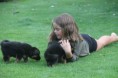 /album/fotogalerij-nest-c/img-0810-jpg/