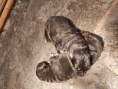 /album/eerste-2-weken/a20201202-202618-jpg/