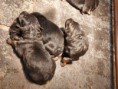 /album/eerste-2-weken/a20201202-202801-jpg/