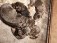 /album/eerste-2-weken/a20201202-202901-jpg/