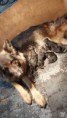 /album/eerste-2-weken/img-20201128-wa0038-jpeg/